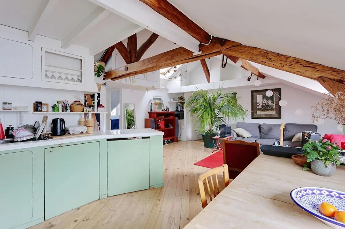 Large, Bright Apartment Paris